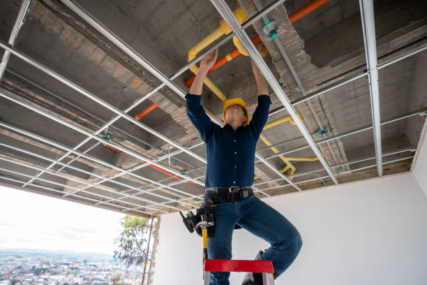 Best Local Plumber Services  in Lynnville, IN