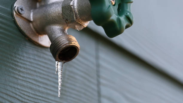 Best Sewer Line Repair  in Lynnville, IN